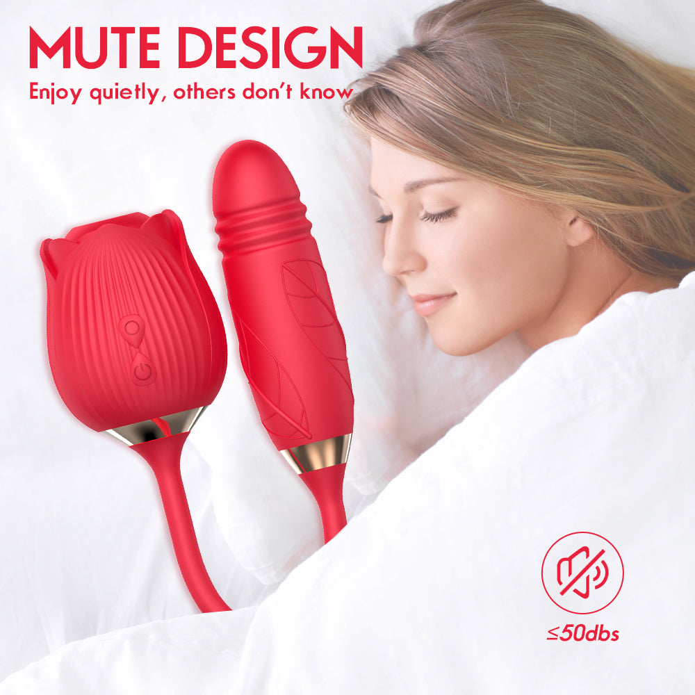 Productmainpicture5